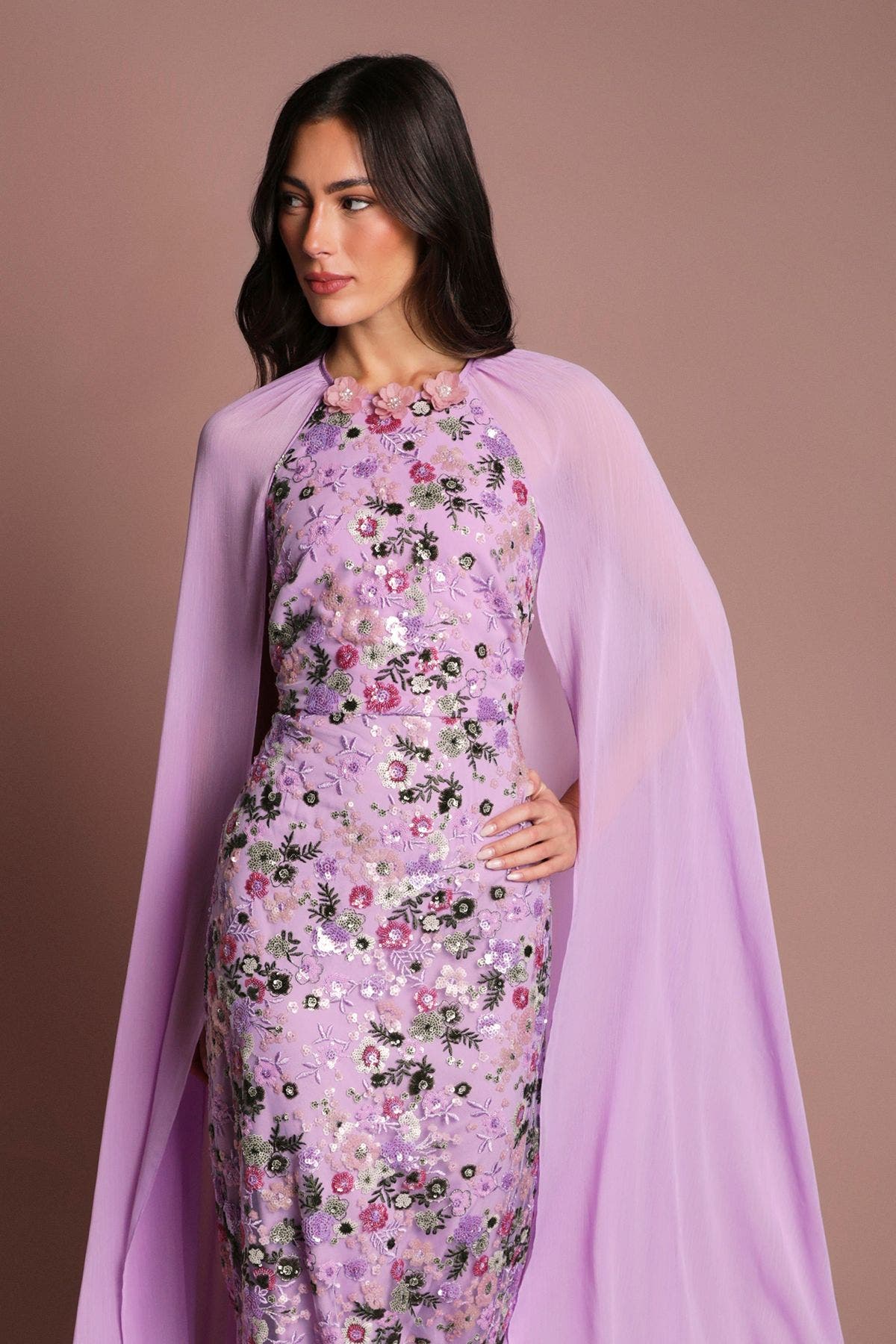 Coast Mesh Floral Embellished Cape Maxi Dress (Women) | Nordstrom