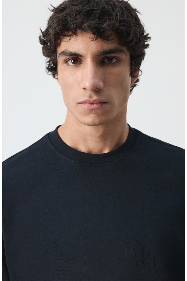 Relaxed Fit Heavyweight Cotton T-Shirt, Alternate, color, NAVY