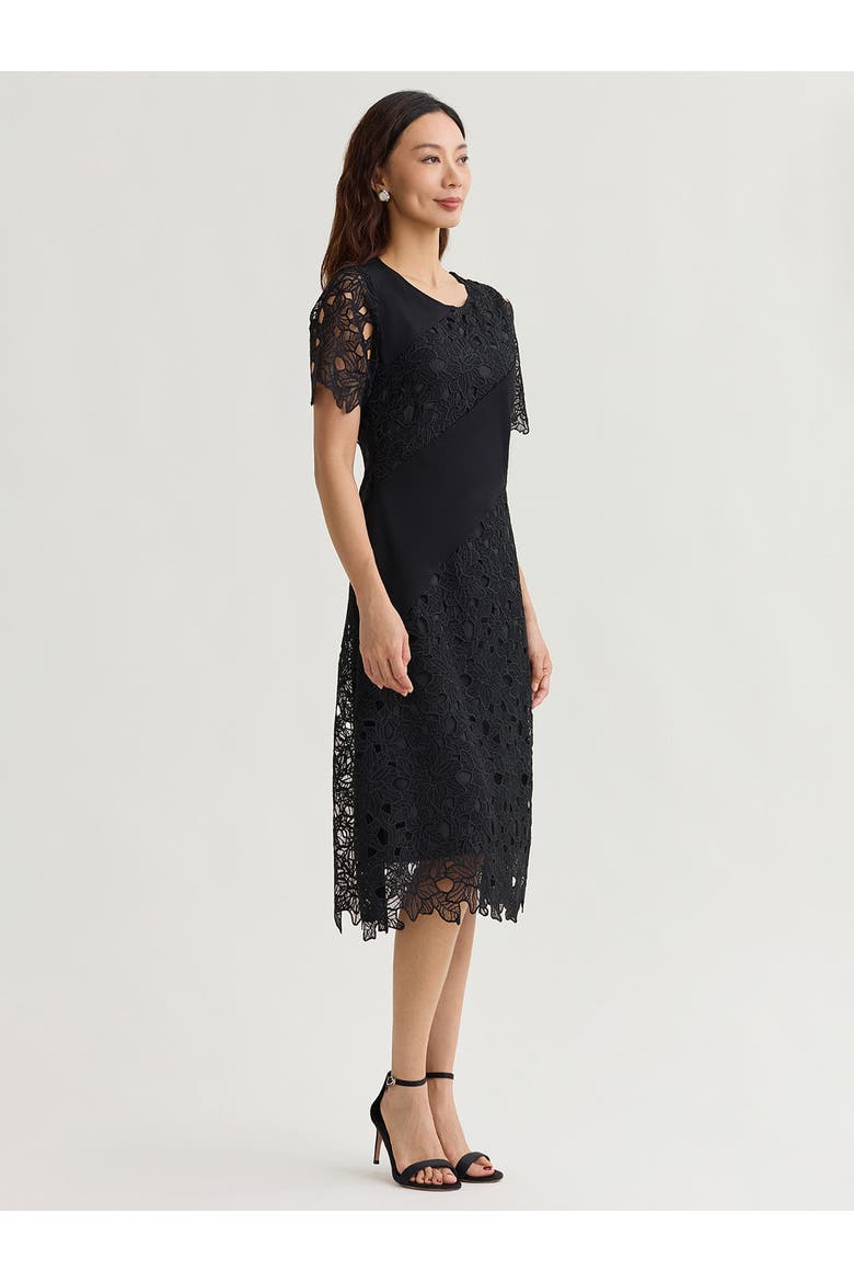 Fit & Flare Lined Laced Mixed Media Midi Dress, Alternate, color, Black