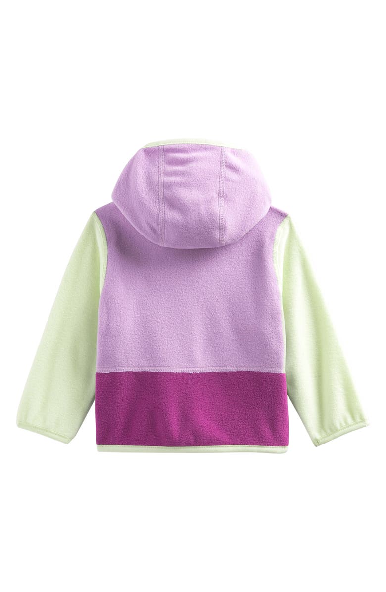 The North Face Kids' Glacier Zip Hoodie, Alternate, color,