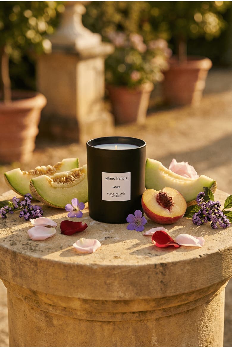 James - Bougie Parfumée Naturelle Candle, Alternate, color, none