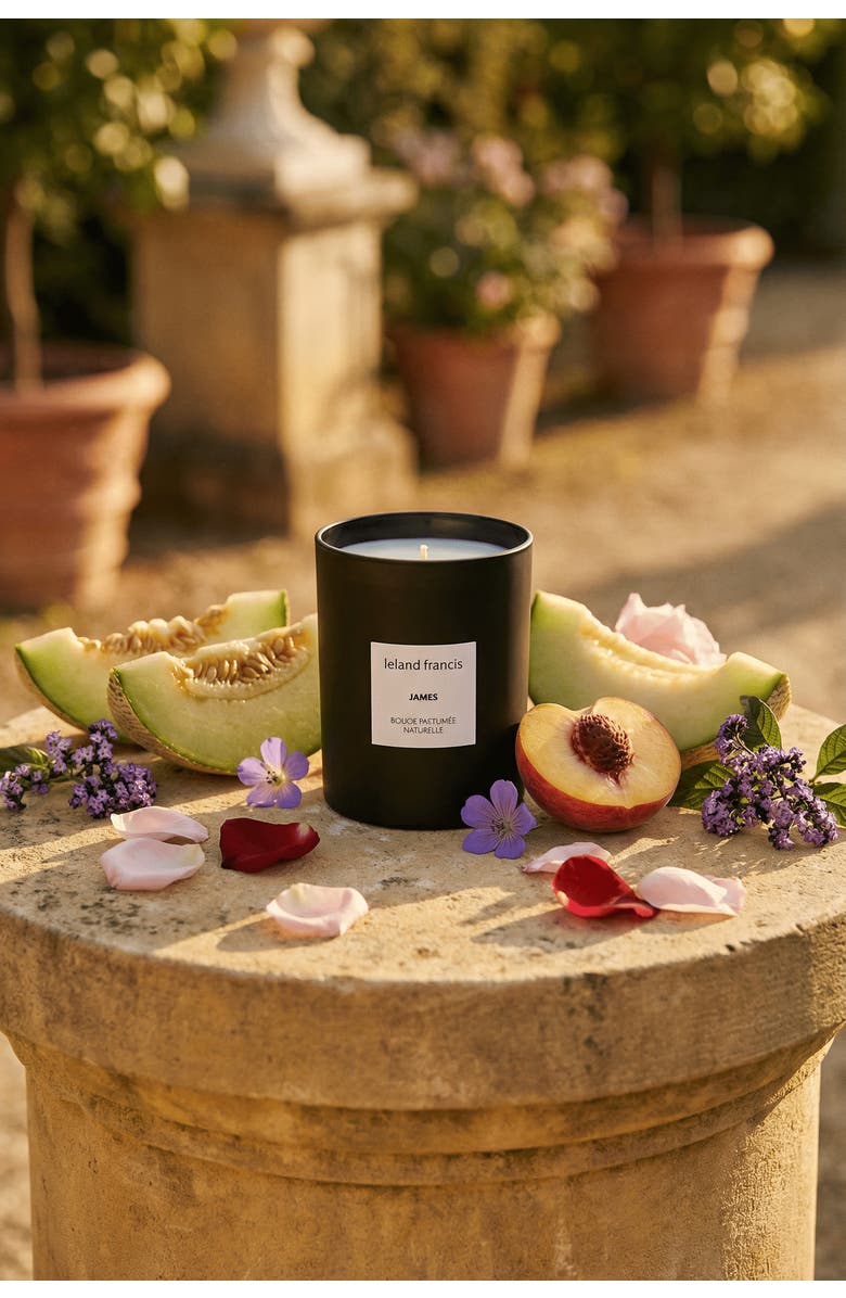 leland francis James - Bougie Parfumée Naturelle Candle, Alternate, color, NO COLOR