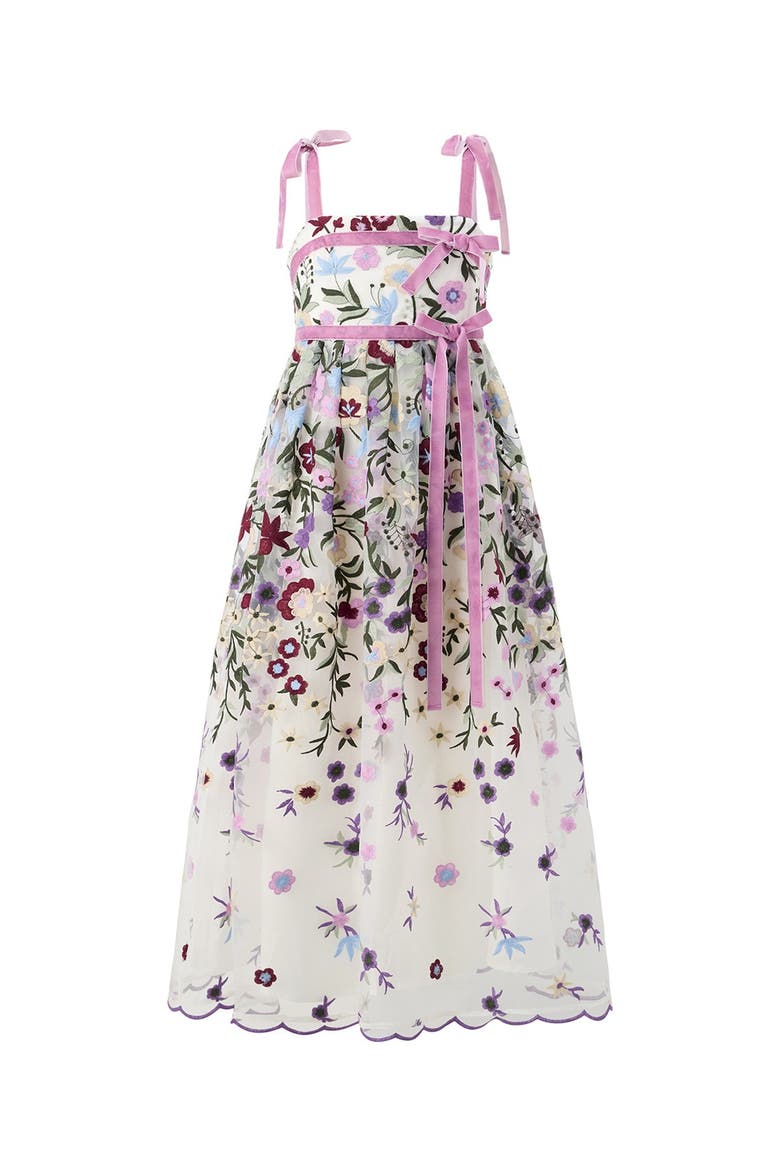 Chantelle Embroidered Maxi Dress, Main, color, Floral