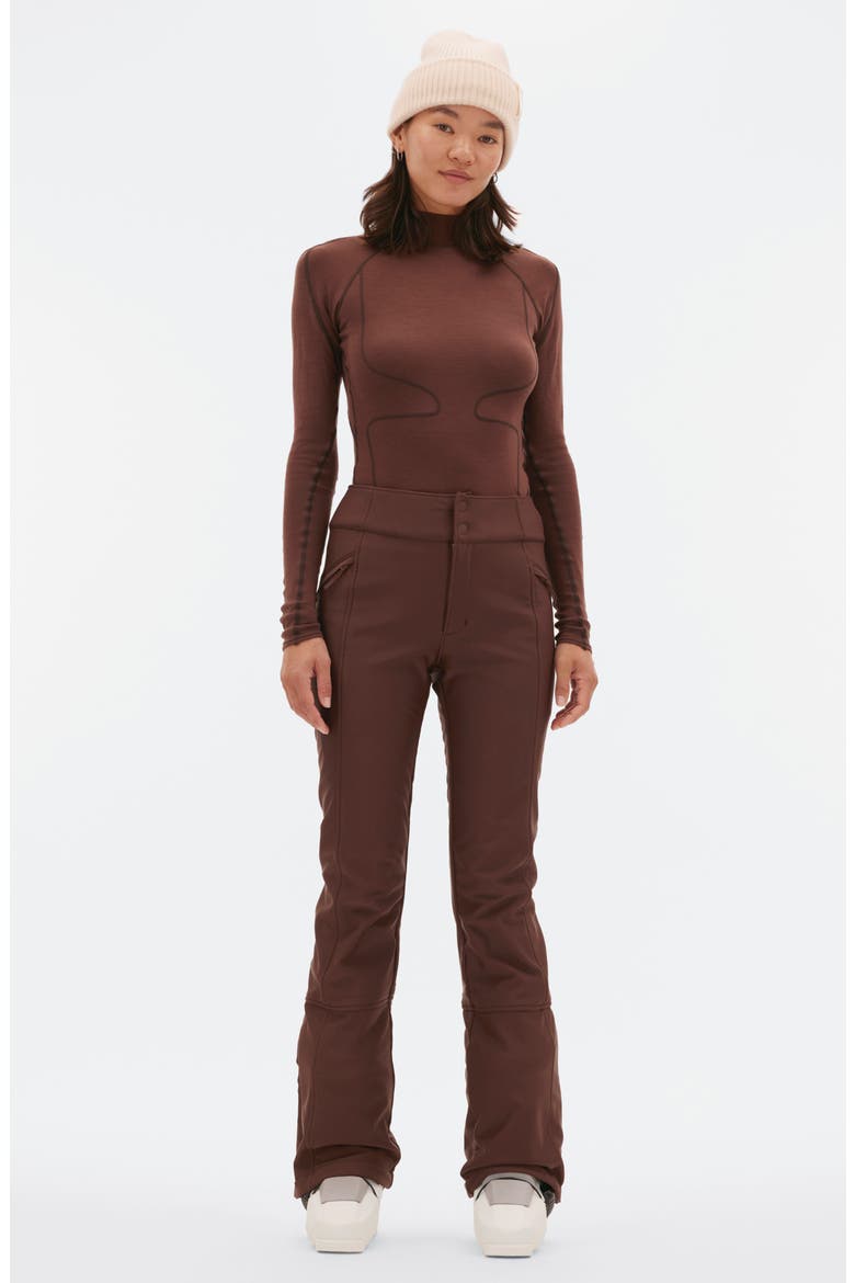 Emma Water Resistant Fleece Lined Ski Pants, Alternate, color, SPIKED COCOA