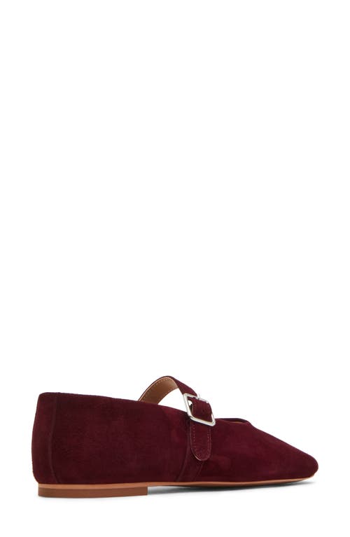 Steve Madden Women's Dreaming-s Almond Toe Flats In Burgundy Suede