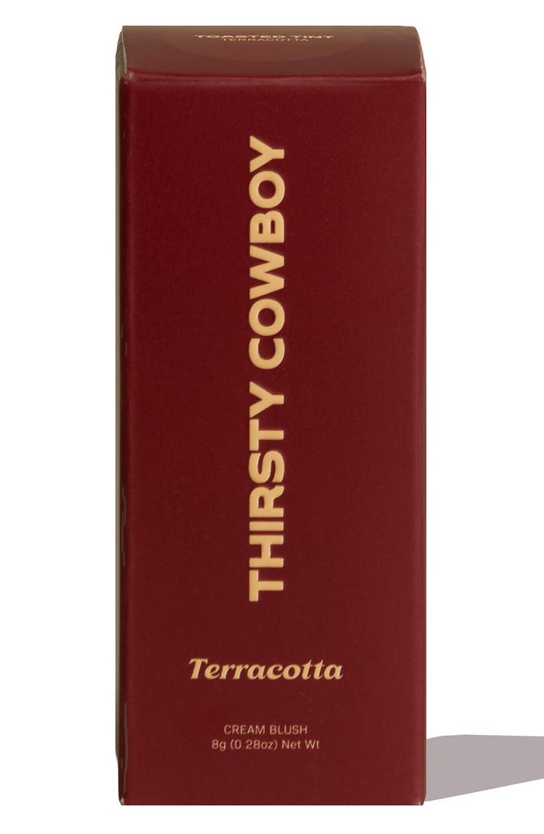Thirsty Cowboy Toasted Tint Cream Blush, Alternate, color, Terracotta