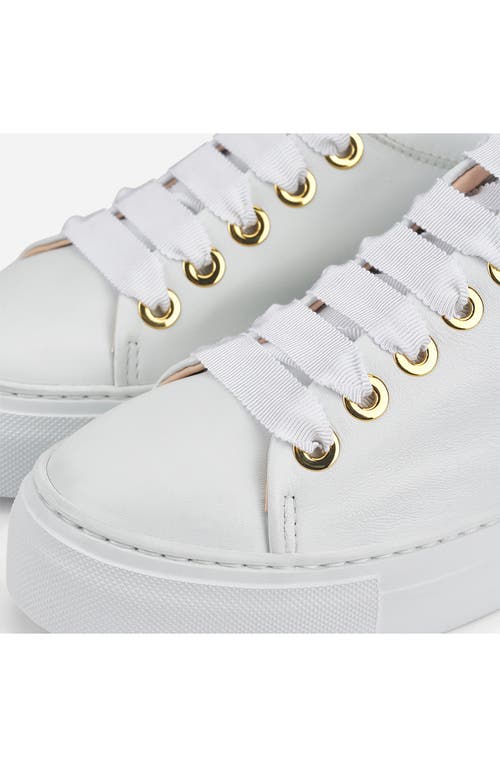 Agl Attilio Giusti Leombruni Agl Parsy Low Top Platform Sneaker In White-white