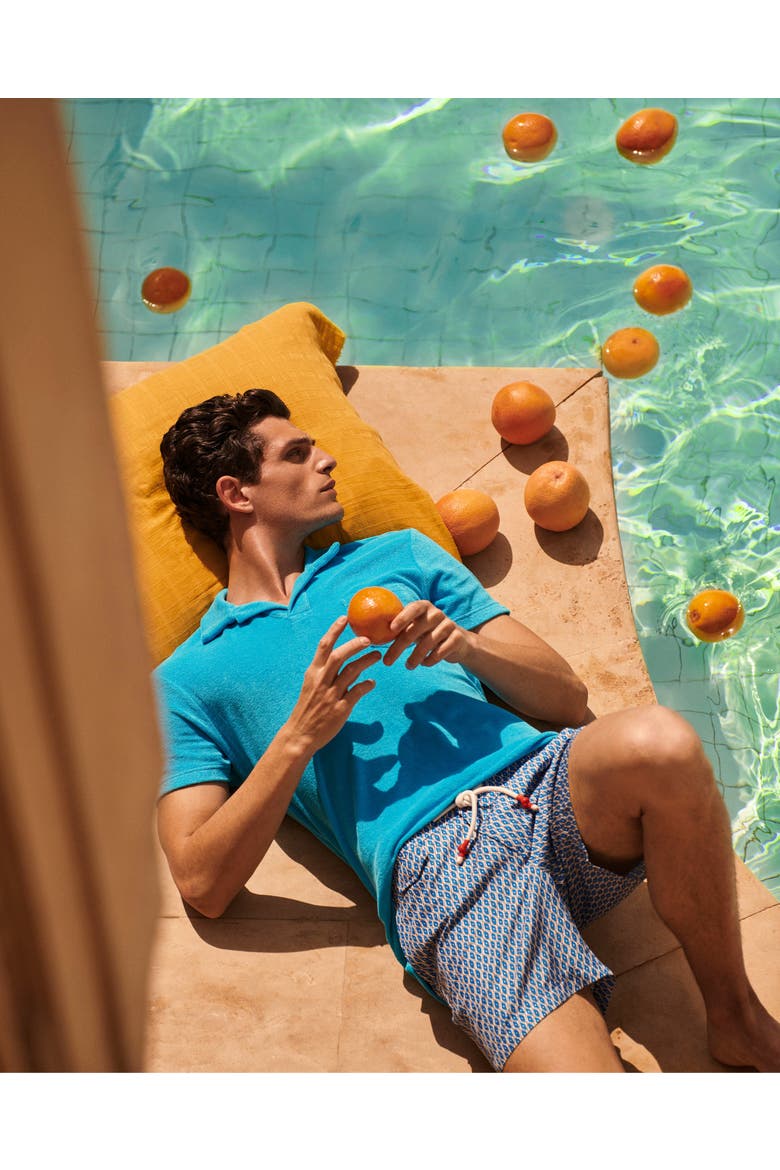 Standard Printed Drawcord Swim Shorts, Alternate, color, California Blue