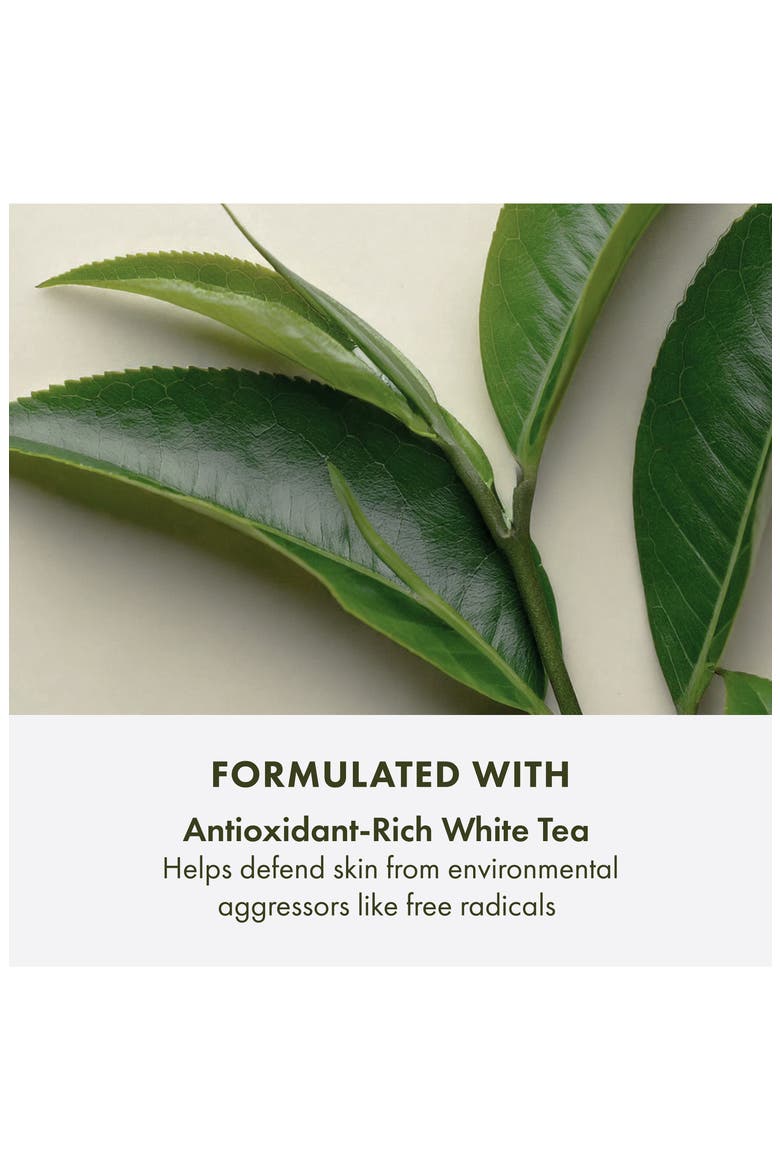 A Perfect World™ SPF 40 Age-Defense Moisturizer with White Tea, Alternate, color, NO COLOR