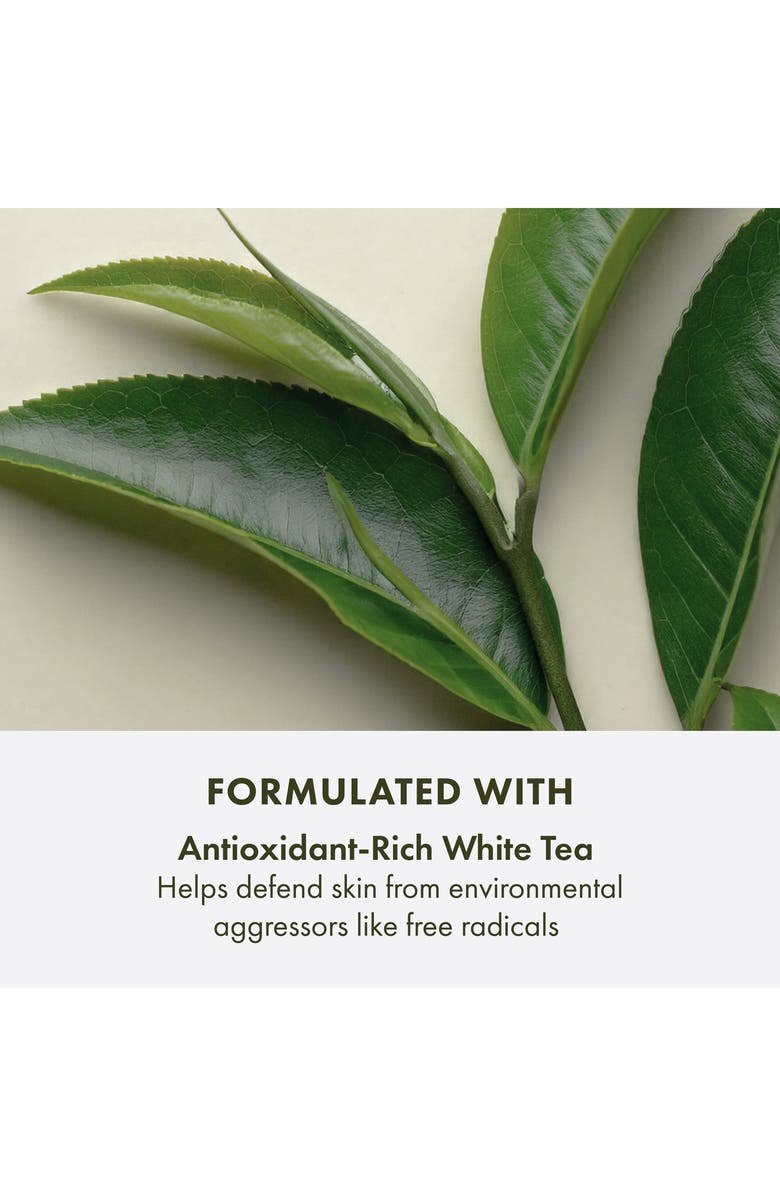 A Perfect World<sup>™</sup> SPF 40 Age-Defense Moisturizer with White Tea