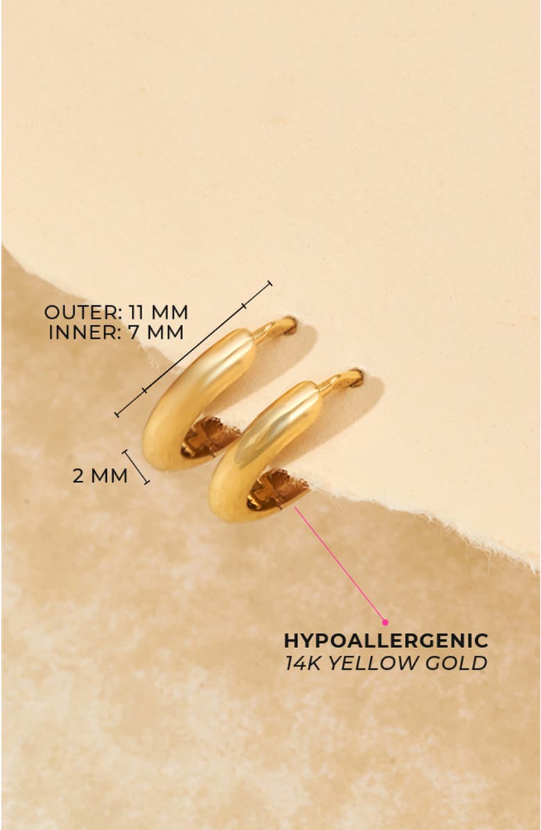 In Season Jewelry 14k Thick Polished Hoops, Alternate, color, Gold