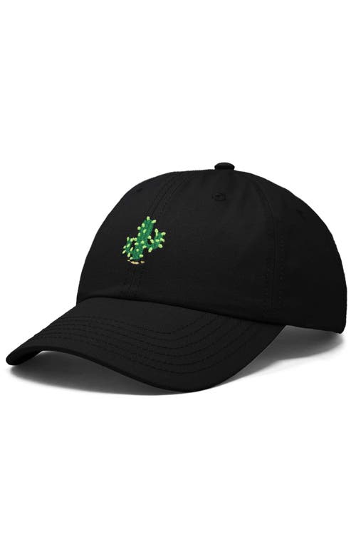 Dalix Cactus Embroidered Low Crown Cap In Black