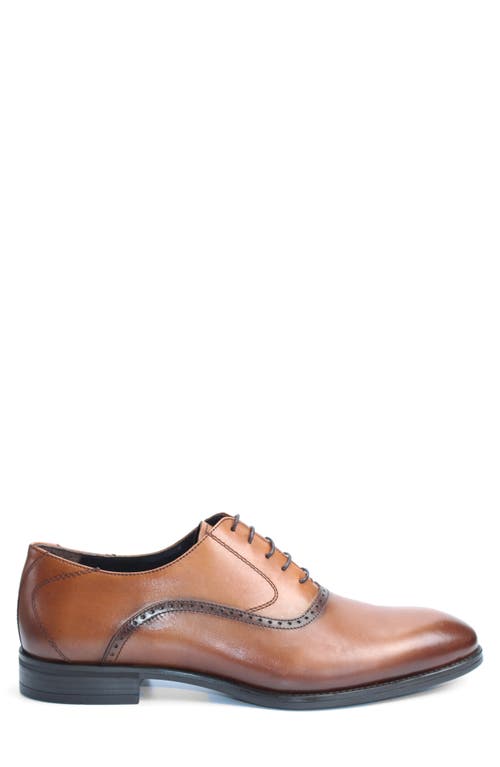 Vellapais Bristol Plain Toe Oxford In Brown
