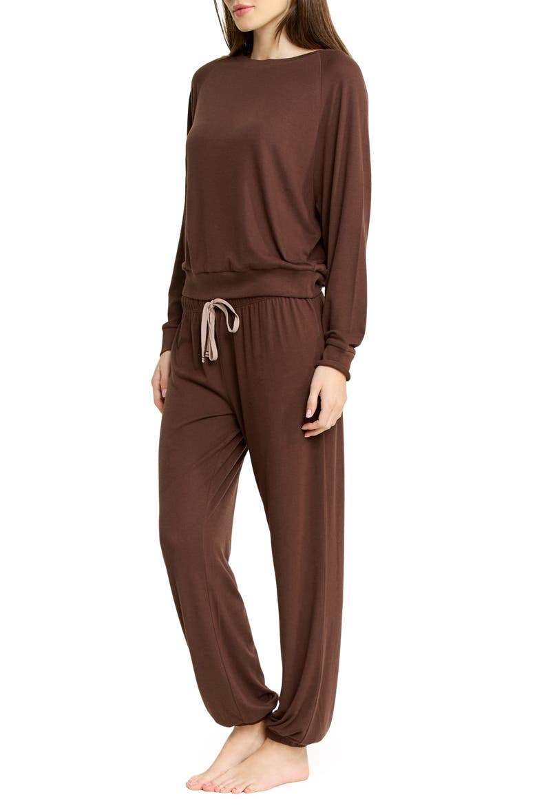 Star Seeker Brushed Jersey Pajamas, Alternate, color, CHOCOLATE