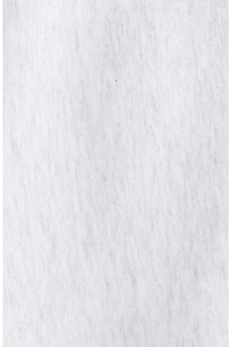 WIP Label Embroidered Oversize Organic Cotton T-Shirt, Alternate, color, ASH HEATHER