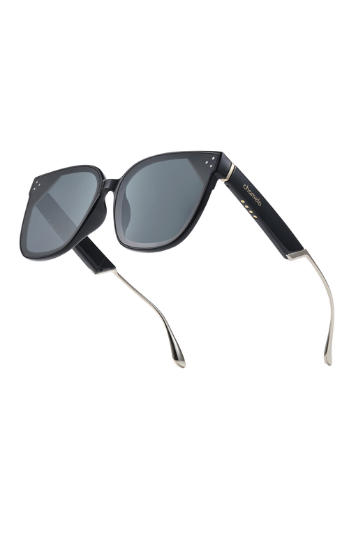 Chamelo Veil Sunglasses In Gray
