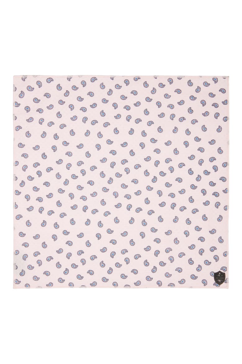 Paisley Cotton Pocket Square, Alternate, color, PINK