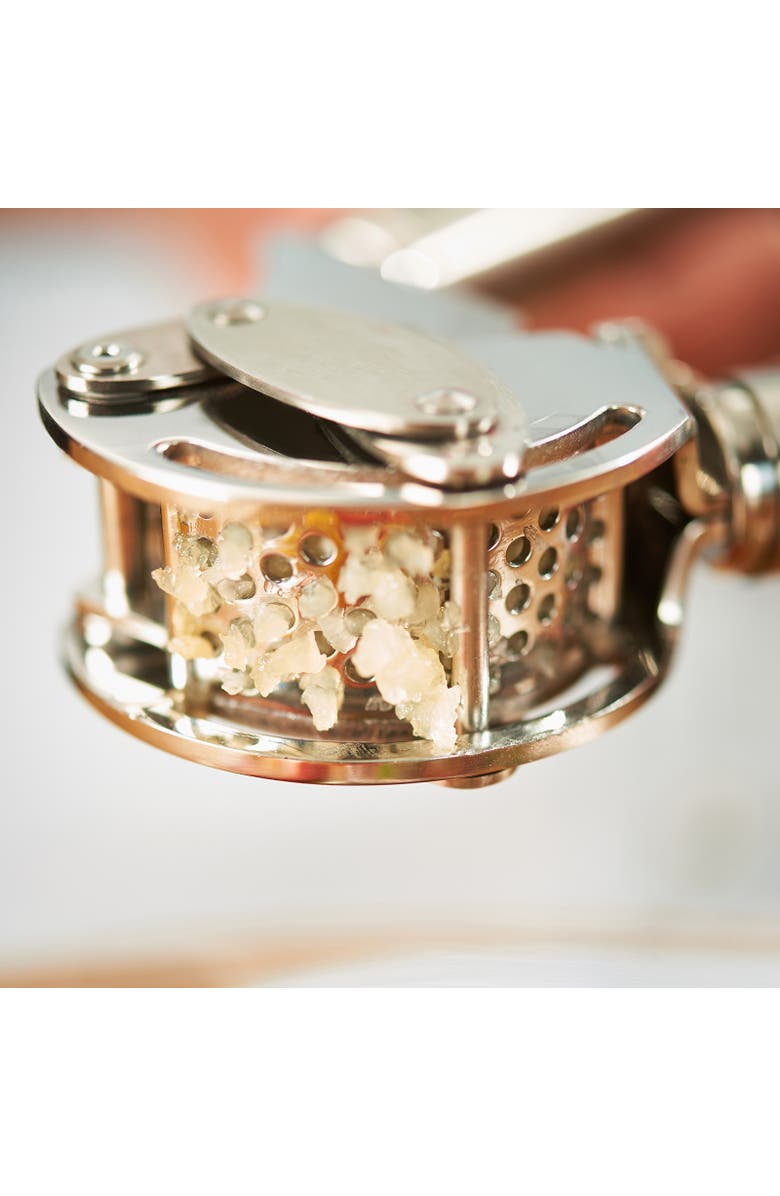 Rosle Stainless Steel Mincing Garlic / Ginger Press with Scraper, 9-inch, Alternate, color, Silver