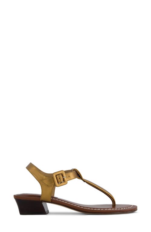 Bernardo Goya T-strap Sandal In Brown