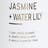 selected Jasmine Waterlily