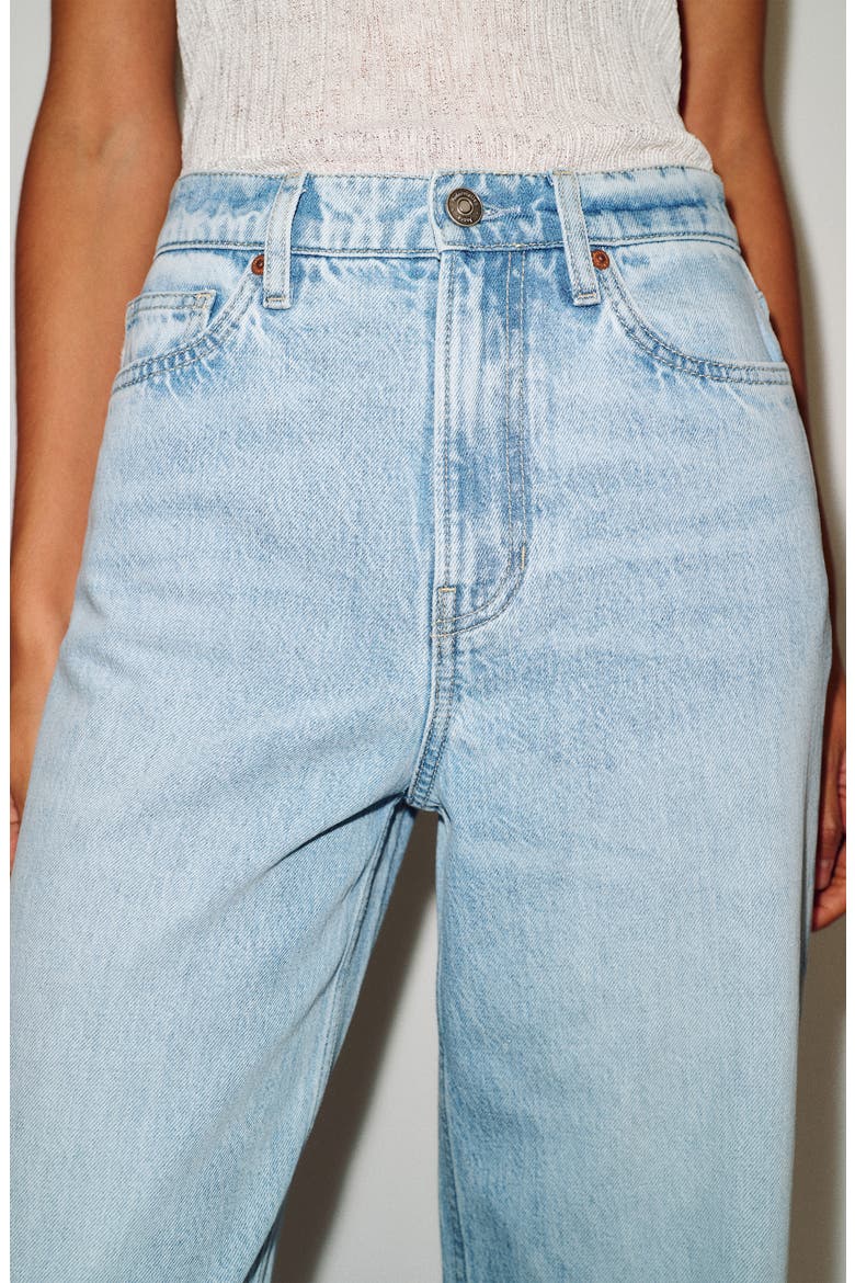 Cary Slouchy High Rise Wide Leg Jeans, Alternate, color, DORY