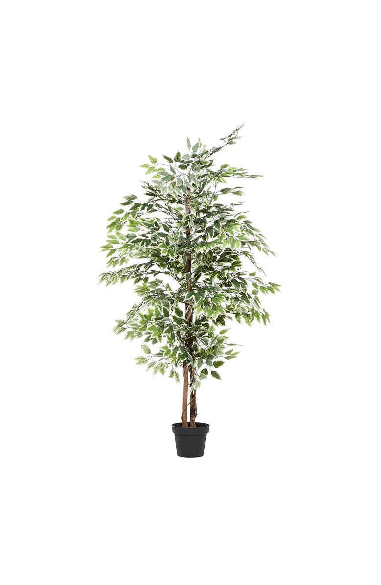 GINGER BIRCH STUDIO FICUS TREE ARTIFICIAL DECORATI, Alternate, color,