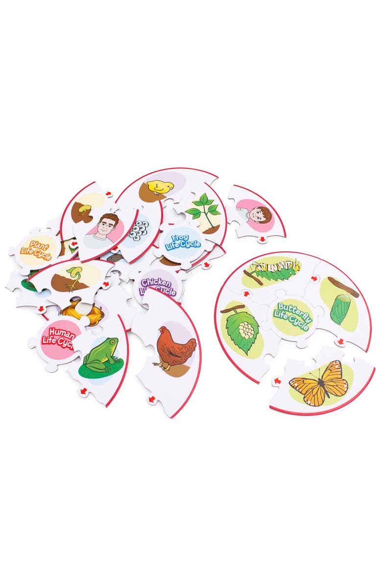 Life Cycle Science Learning Puzzles, Alternate, color, Multicolored