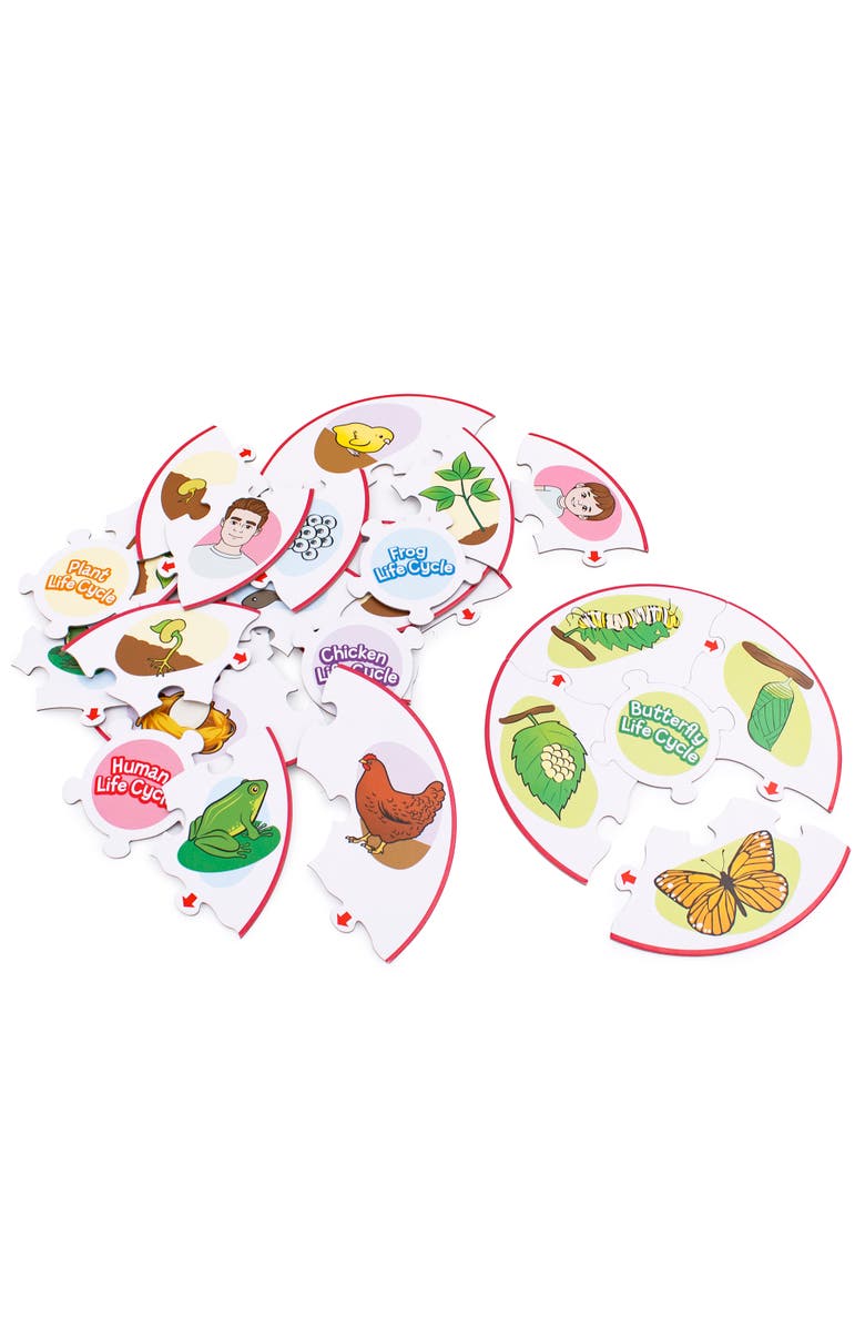 Puzzles Life Cycle Science Learning Puzzles, Alternate, color, Multicolored