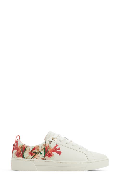 Ted Baker London Alison Sneaker In Bone Multi