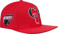 PRO STANDARD Men's Pro Standard Red Clark Atlanta University Panthers Evergreen CAU Snapback Hat
