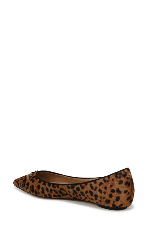 Sam Edelman Nori Pointed Toe Flat