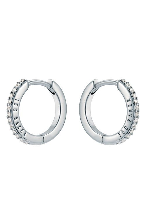Ted Baker Heplie Pavé Hoop Earrings In Silver Tone/clear Crystal