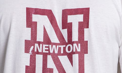Elwood Vintage Newton Tee In White