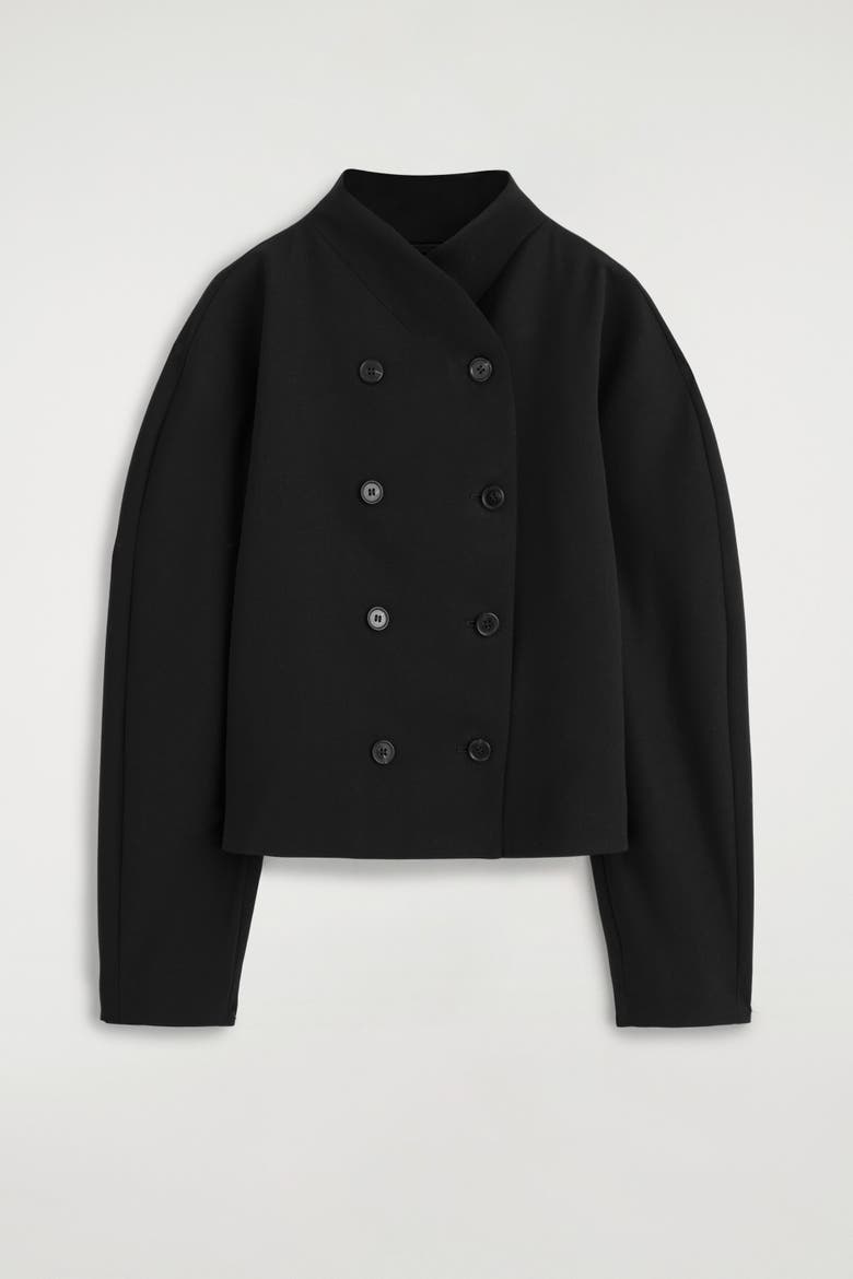 Sculpted Stand-Collar Jacket, Alternate, color, BLACK