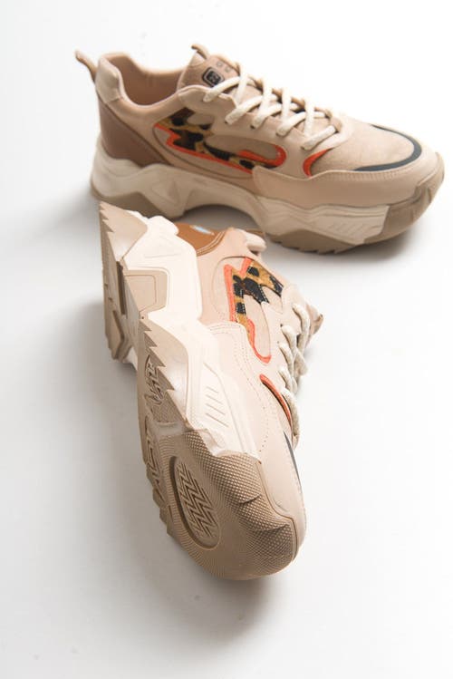 Prologue Shoes Europa Sneakers In Brown