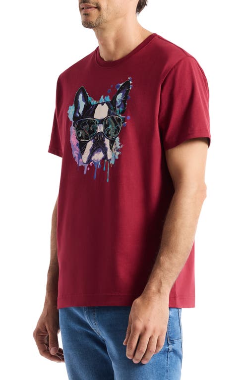 Robert Graham Jet Set Frenchie Graphic T-shirt In Burgundy