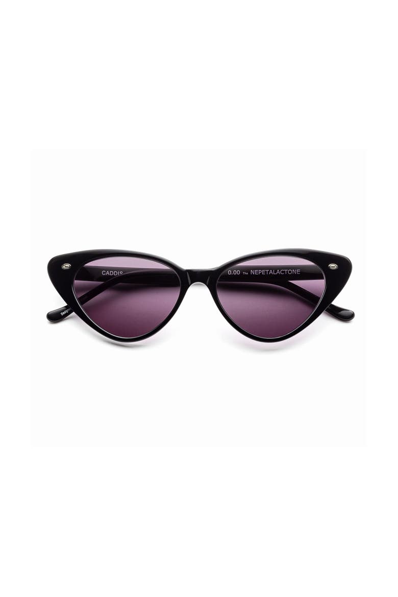 Nepetalactone | Sunglasses, Main, color, Seawater