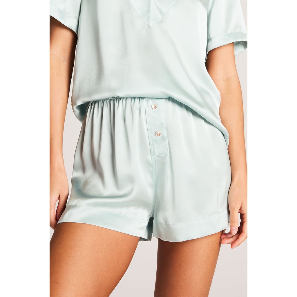 Negative Underwear Eclipse Washable Silk Boxer in Mist at Nordstrom, Size Large