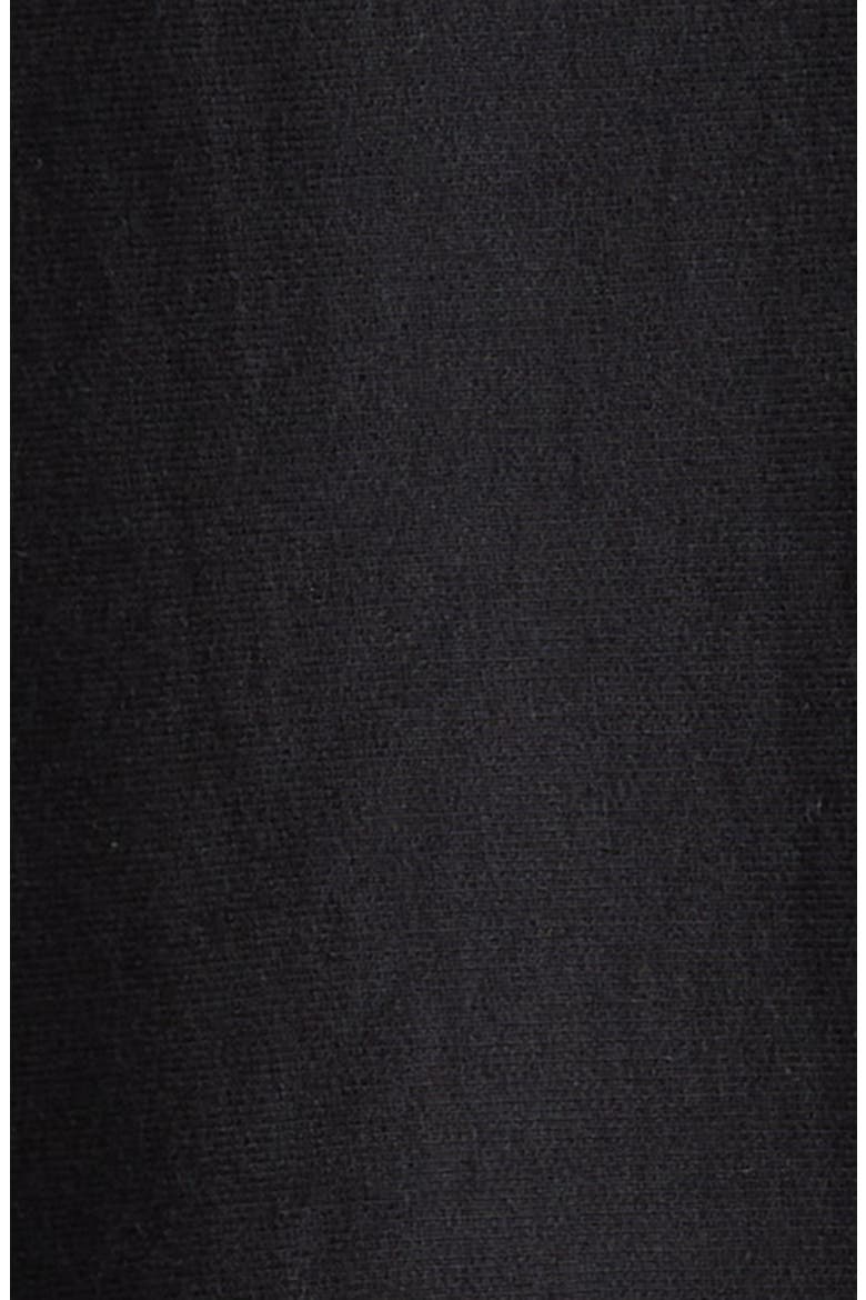 Classic Cotton Hoodie, Alternate, color, BLACK