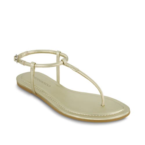 Shop Bernardo Footwear Hercu T-strap Sandal In Champagne