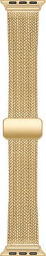 Posh Tech Stainless Steel Mesh Apple Watch® Watchband