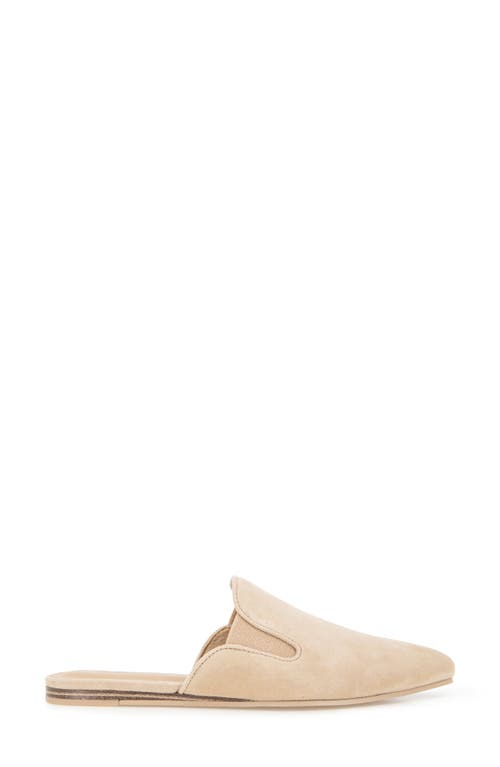Splendid Liza Pointed Toe Mule In Brown