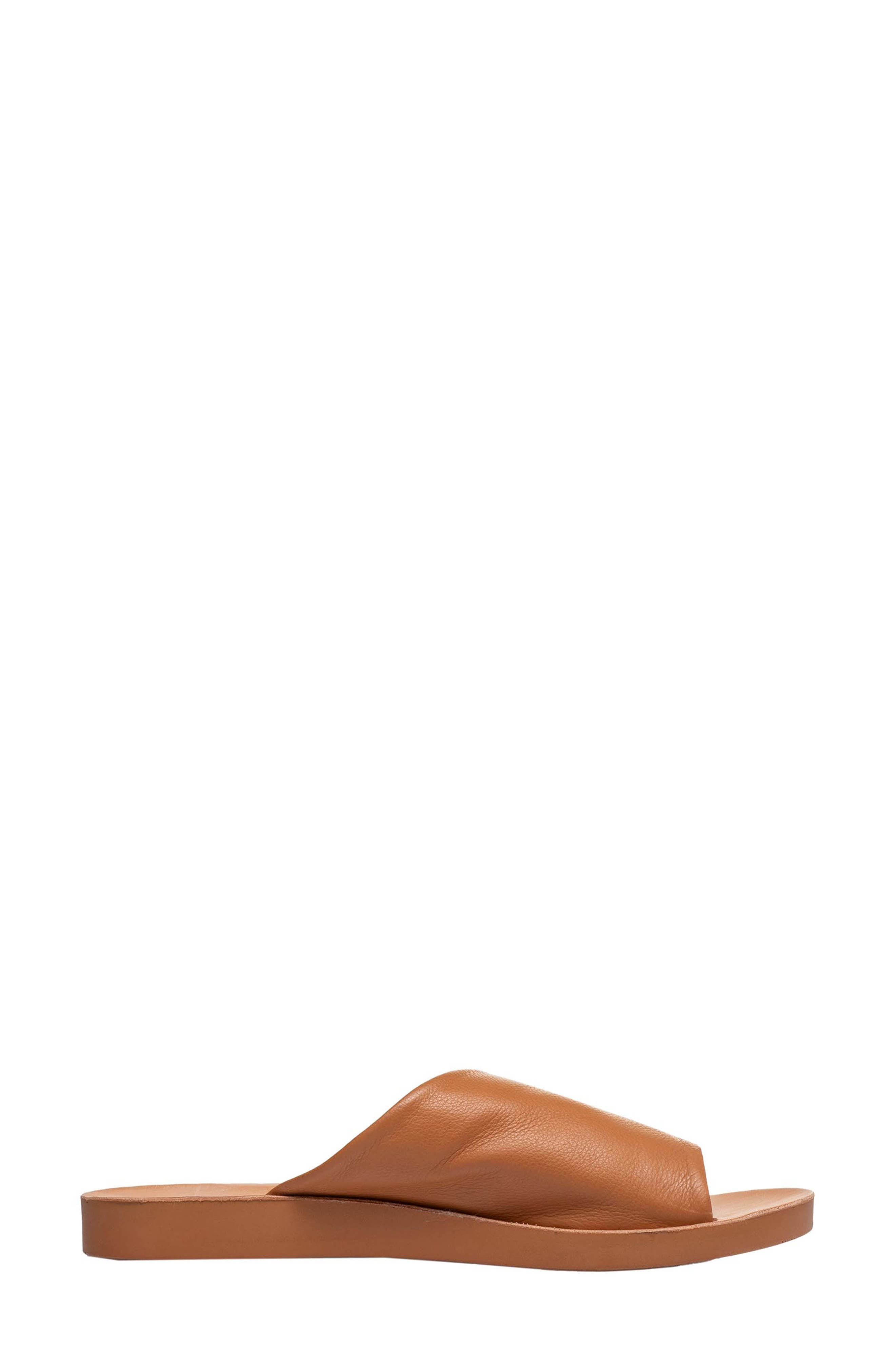 ANTELOPE Ami Leather Slide Sandal, Alternate, color, 