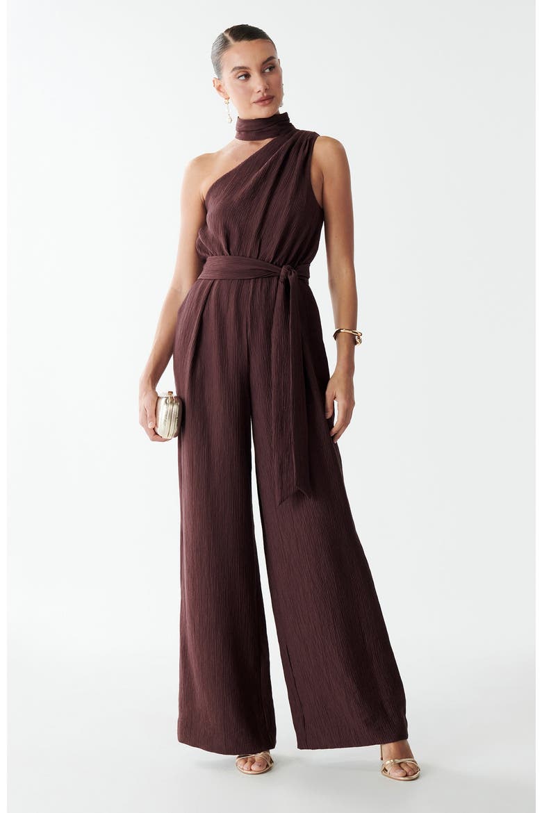 Vera Jumpsuit, Alternate, color, Chocolate