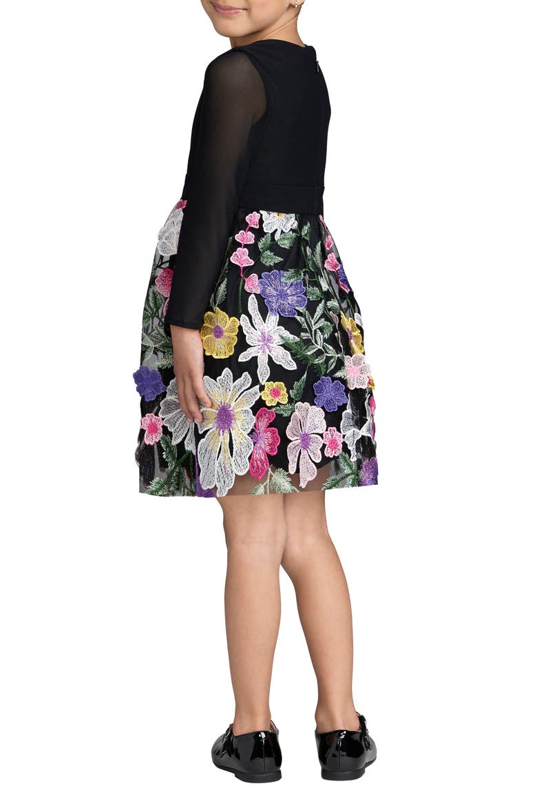 Girls Floral Embroidered Long Sleeve Dress, Alternate, color, Black Multi