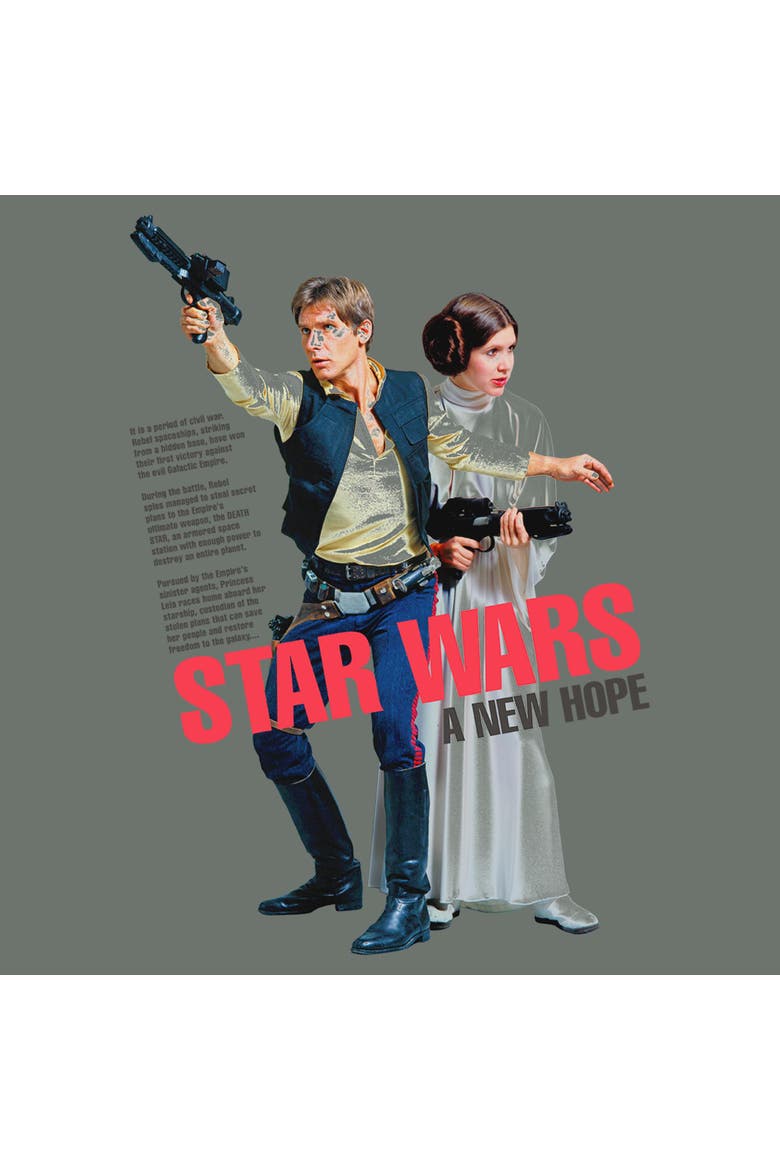 Men's Star Wars Han Solo and Leia Attack Pose  Graphic T-Shirt, Alternate, color, Grey