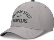 Nike Men's Nike Gray Michigan State Spartans Rise Prep Performance Flex Hat