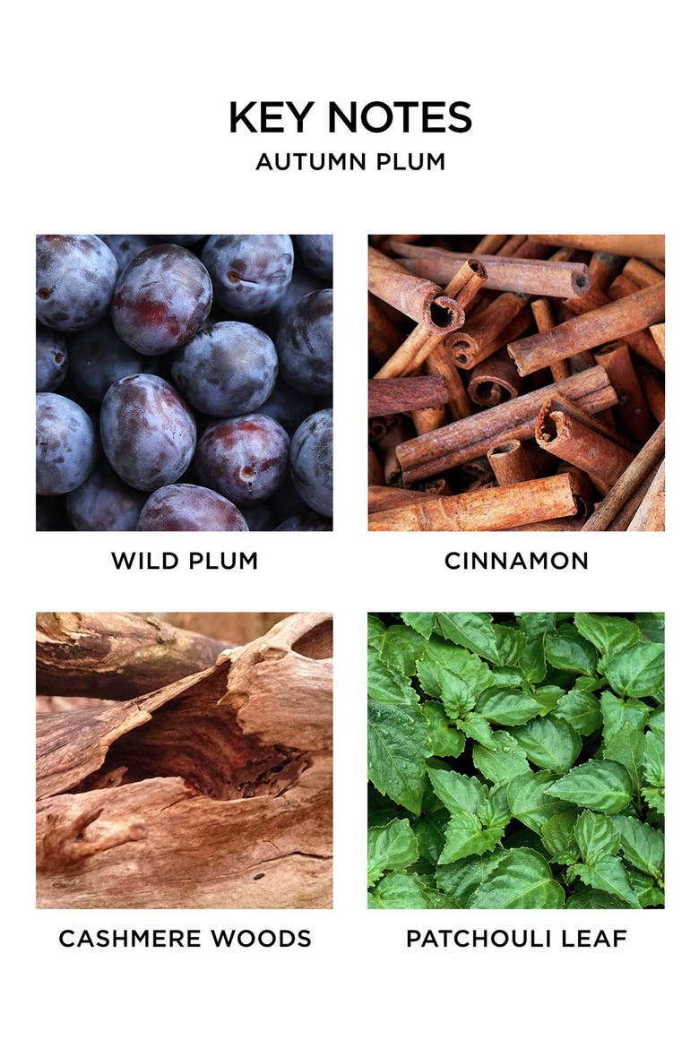 Autumn Plum Reed Diffuser (Limited Edition), Alternate, color, NO COLOR