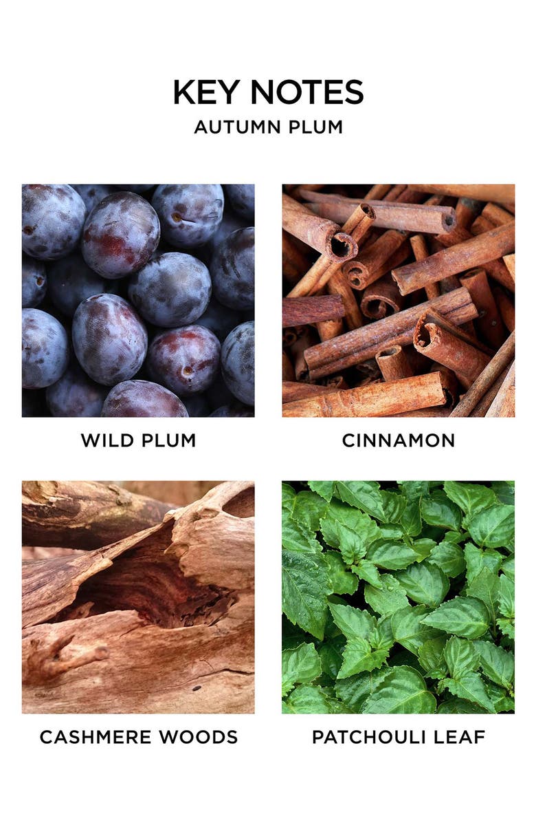 NEST New York Autumn Plum Votive Candle, Alternate, color, 