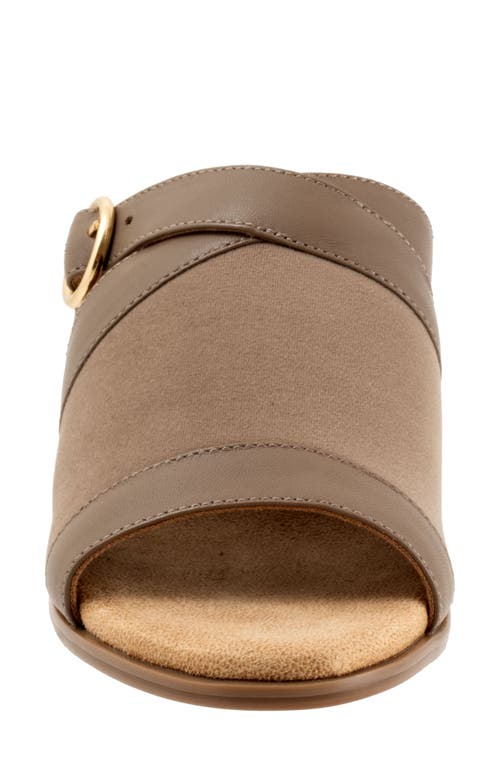 Trotters Mitzie Slide Sandal In Taupe